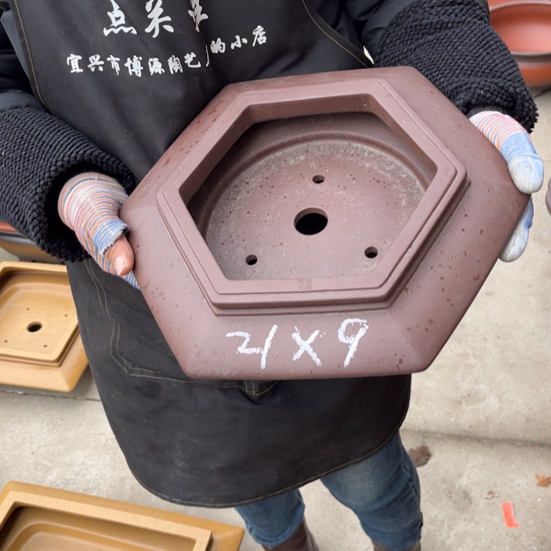 紫砂花盆盆景艺术