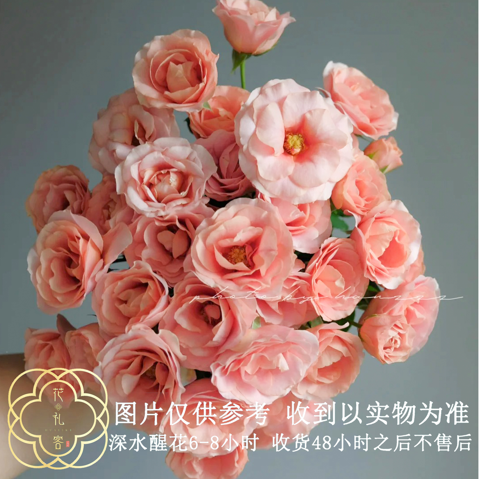 云花巷#多头玫瑰 【金鱼姬】鲜花优选 顺丰直发