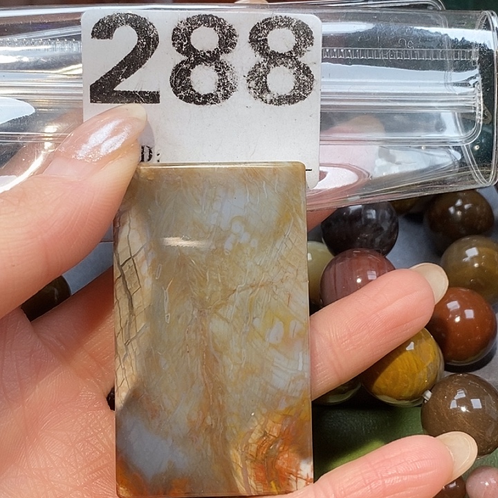硅化玉未镶嵌天然北票树化玉吊坠
