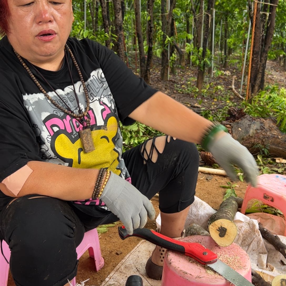 线香奇楠沉香原木段