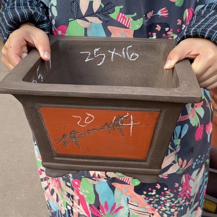 花盆紫砂自己家庭作业