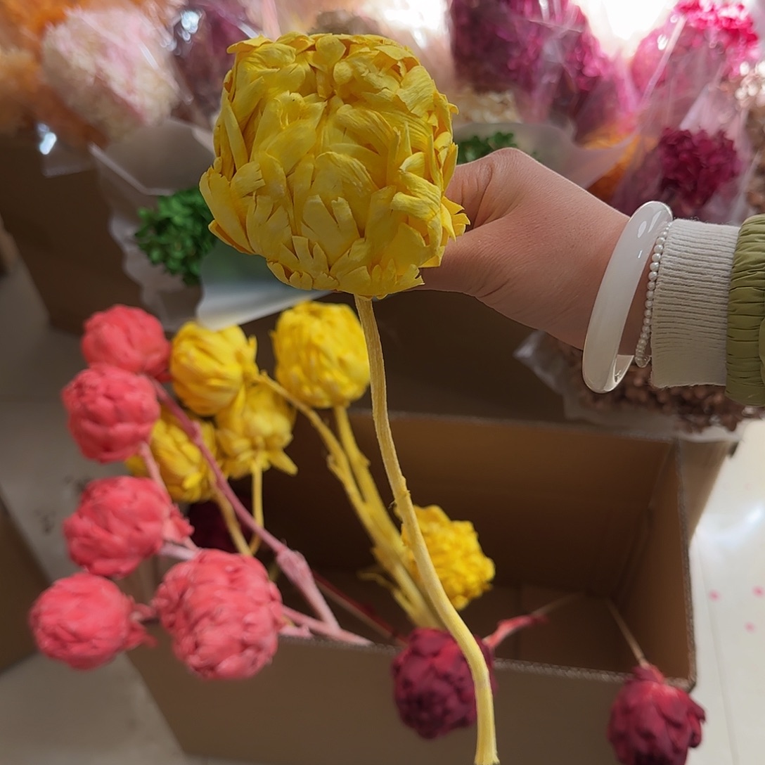 K31号黄色洋蓟1枝