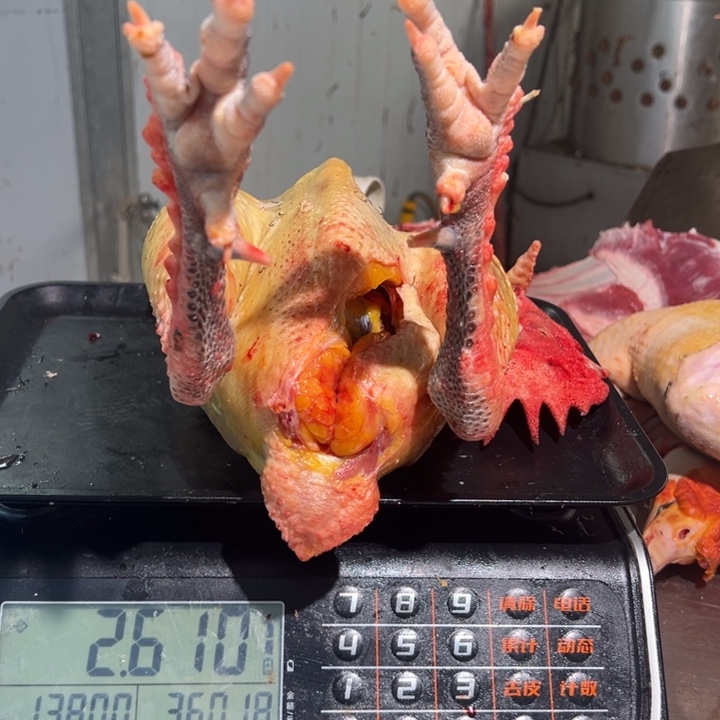 一号公鸡食用农产品用****9