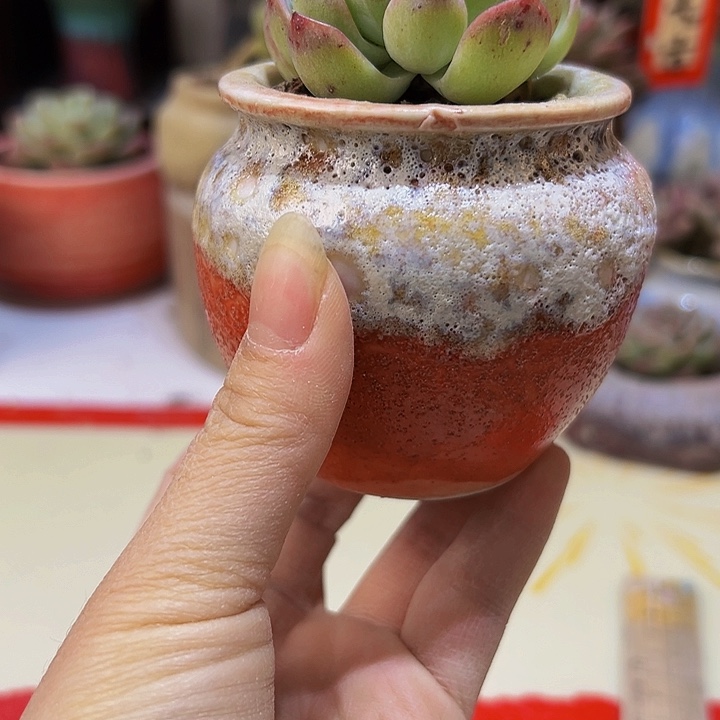 景德镇陶瓷研究所