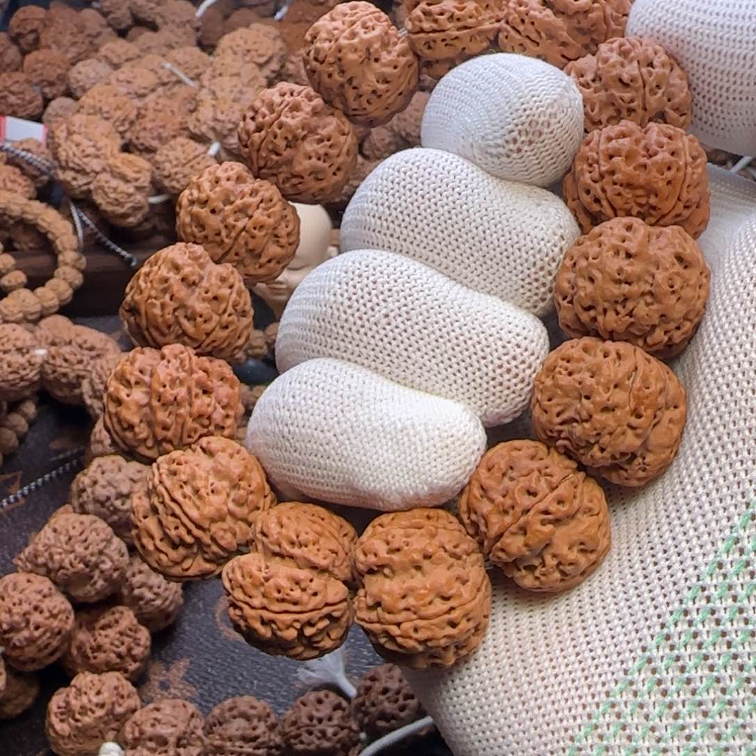 菩提金刚菩提21梅花