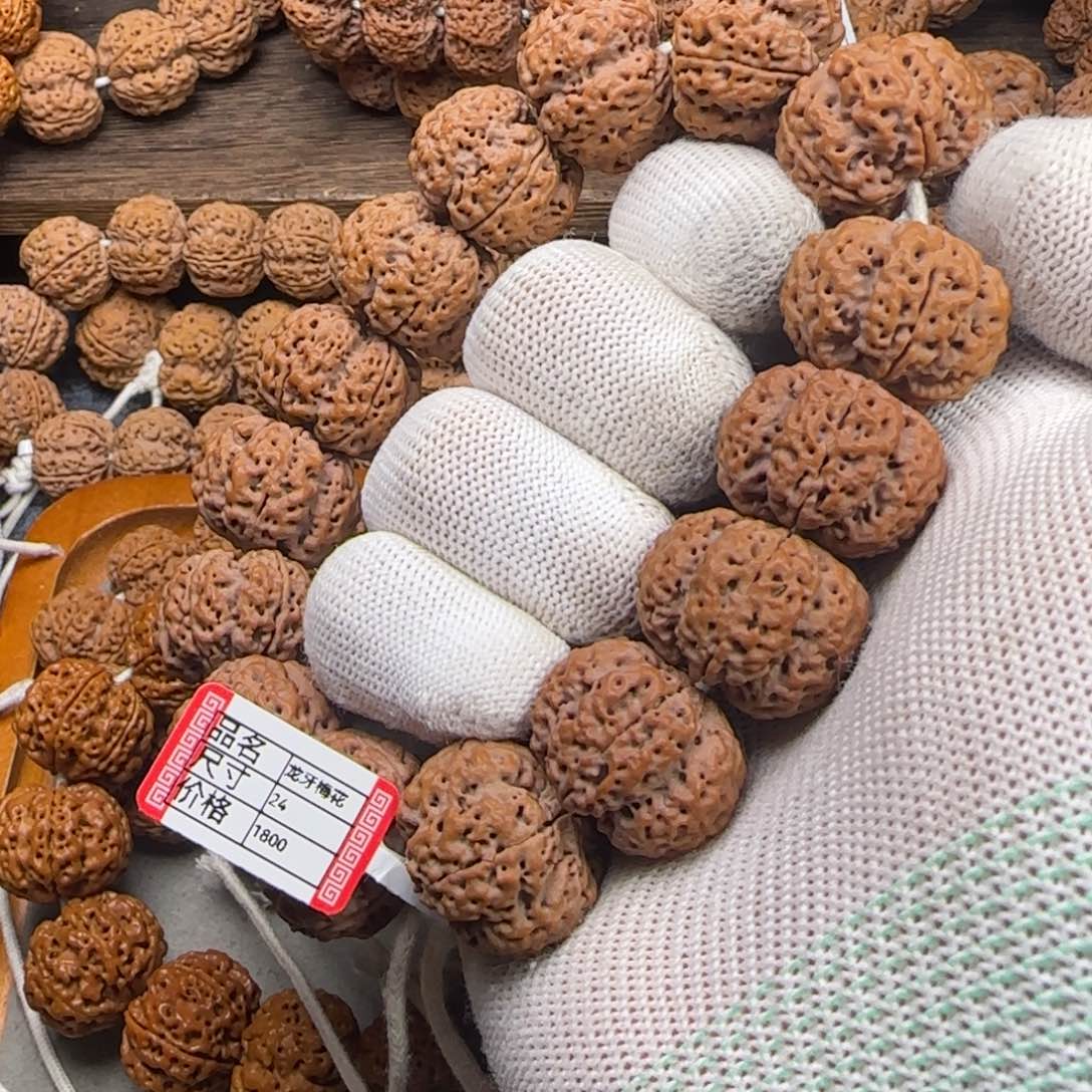 菩提金刚菩提24梁梅花