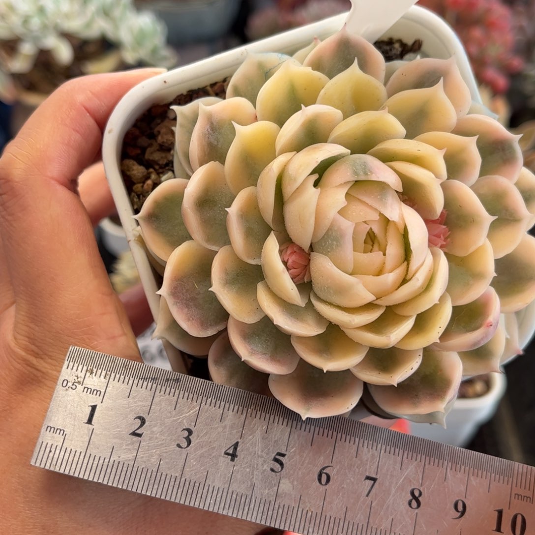 2570 满30包邮天冷地区必拍保温箱