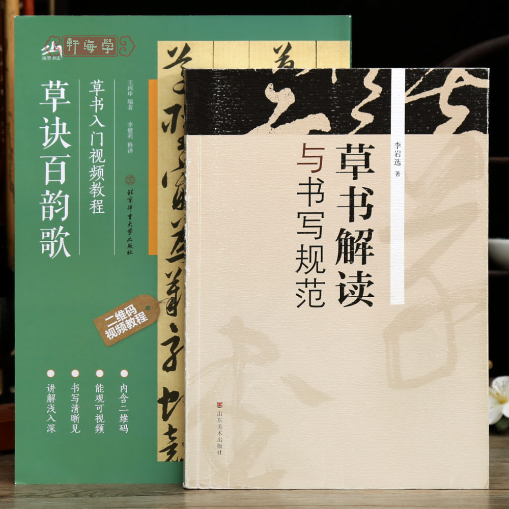 共2种草诀百韵歌草书入门视频教程草书解读与书写规范笔画偏旁