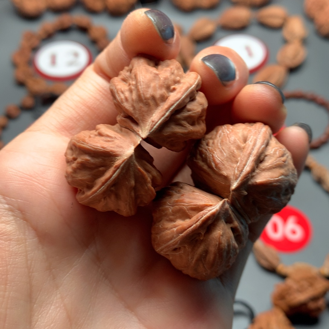 核桃17双棒 有虚尖