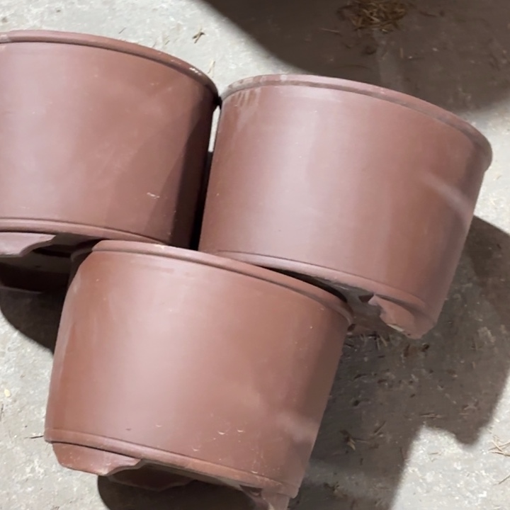 紫砂花盆             60-3