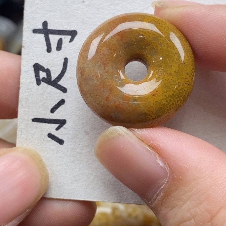 硅化珊瑚（珊瑚玉）未镶嵌颈饰