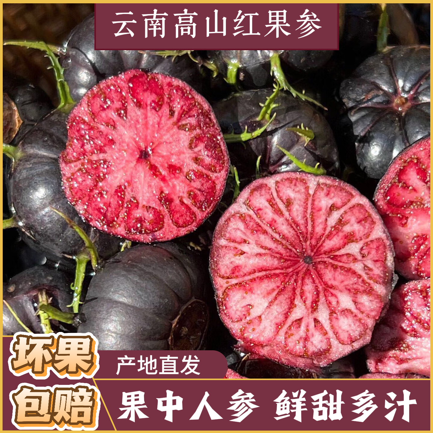 云南红果参算盘果蜘蛛果新鲜采摘稀有爆款水果坏果包赔