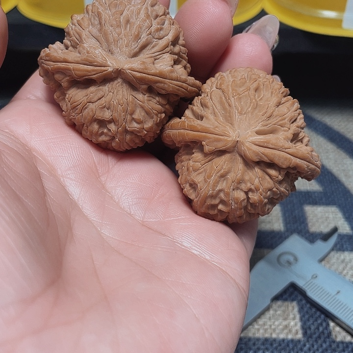 文玩核桃把件青**途白狮子44