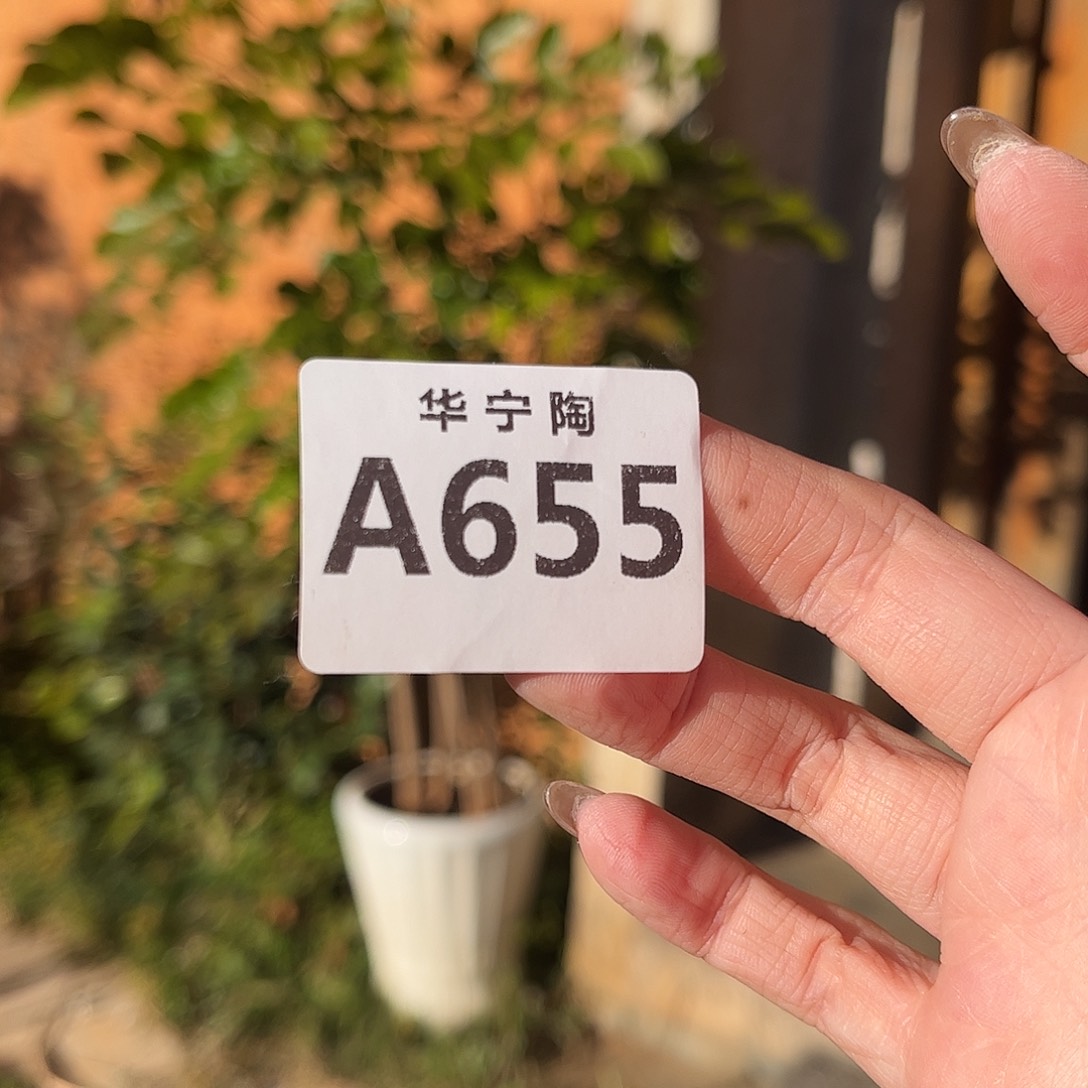 魔***逗华宁陶华宁陶华宁陶