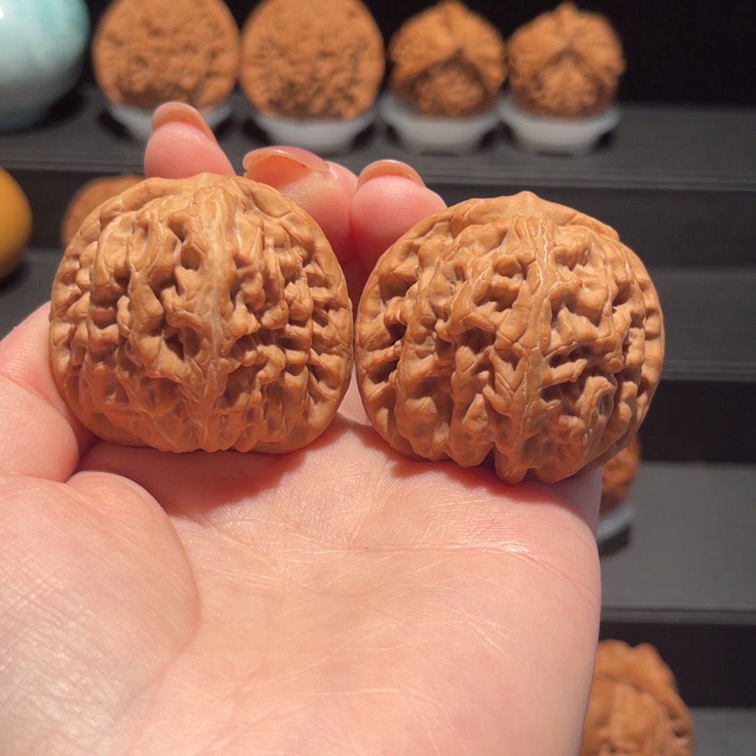 红***、红锦鲤44精品，全品