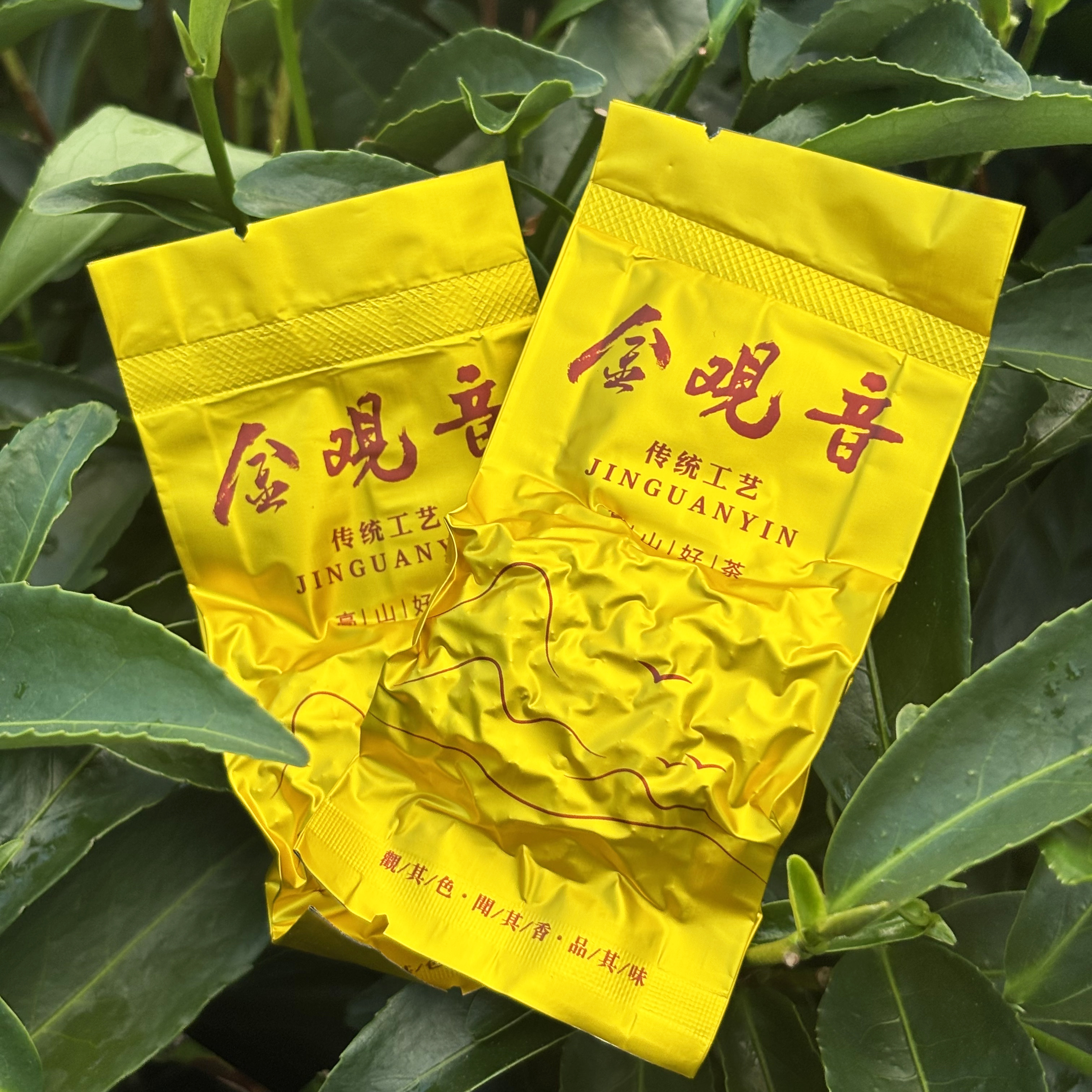【百花香金观音秋茶】正味正炒工艺高香秋茶金观音如兰似桂百花香