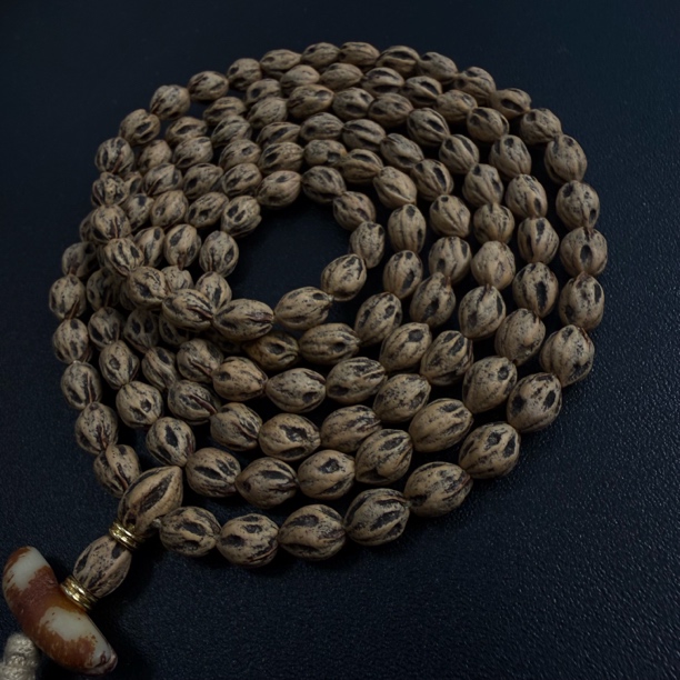 热振一哥《尸坨林.万冥》定制级百香籽