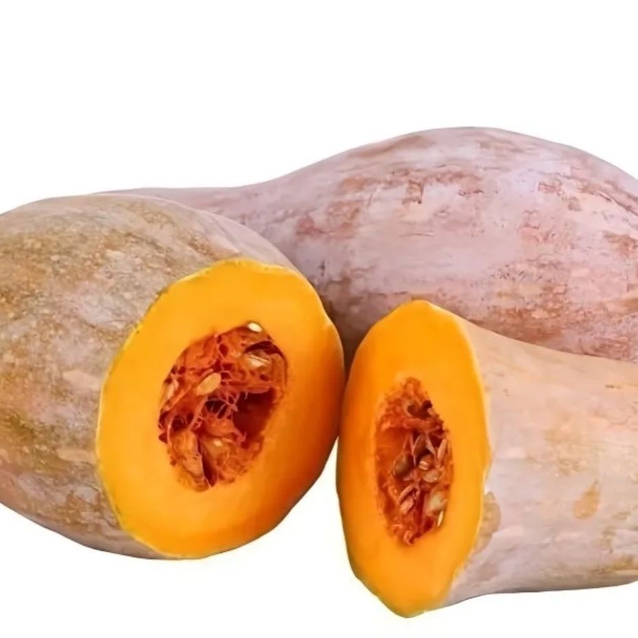 贵州高山新鲜本地露天老南瓜当季蔬菜甜糯可口可作宝宝辅食巨型