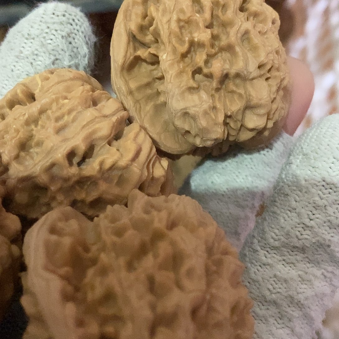 桃核把件盘**下官帽核桃30个