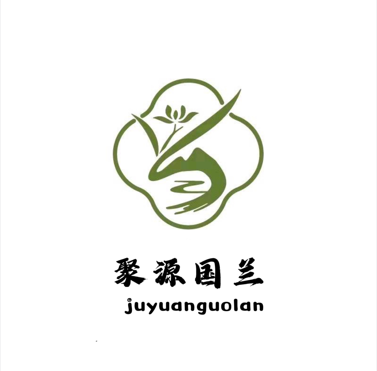 兰花随机发