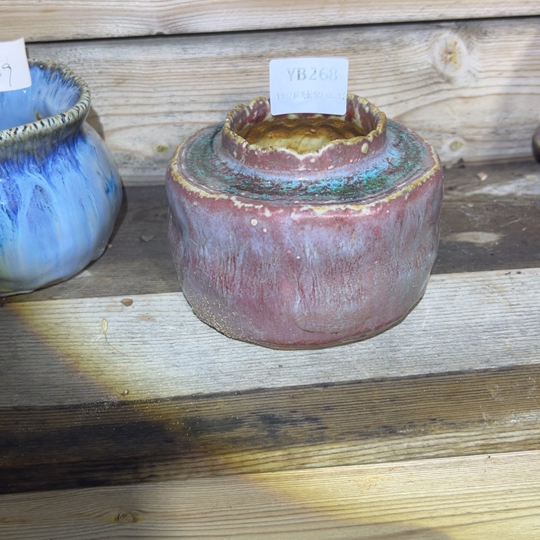 知***霜1987植物花盆YB268