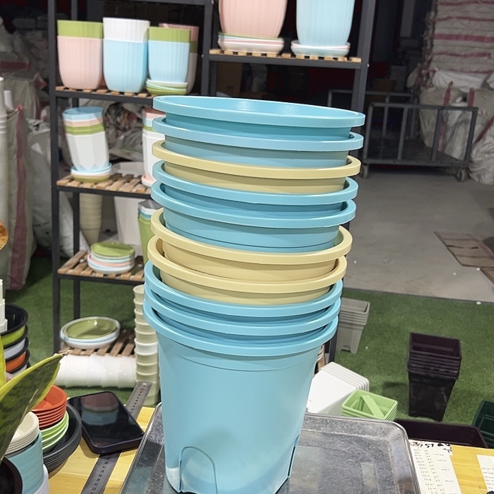 圆控口21高21混色10只带托