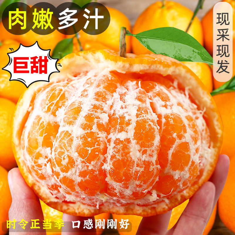 （HJ）带箱9斤正宗四川春见耙耙柑新鲜多汁爽口细腻自然熟当季水果