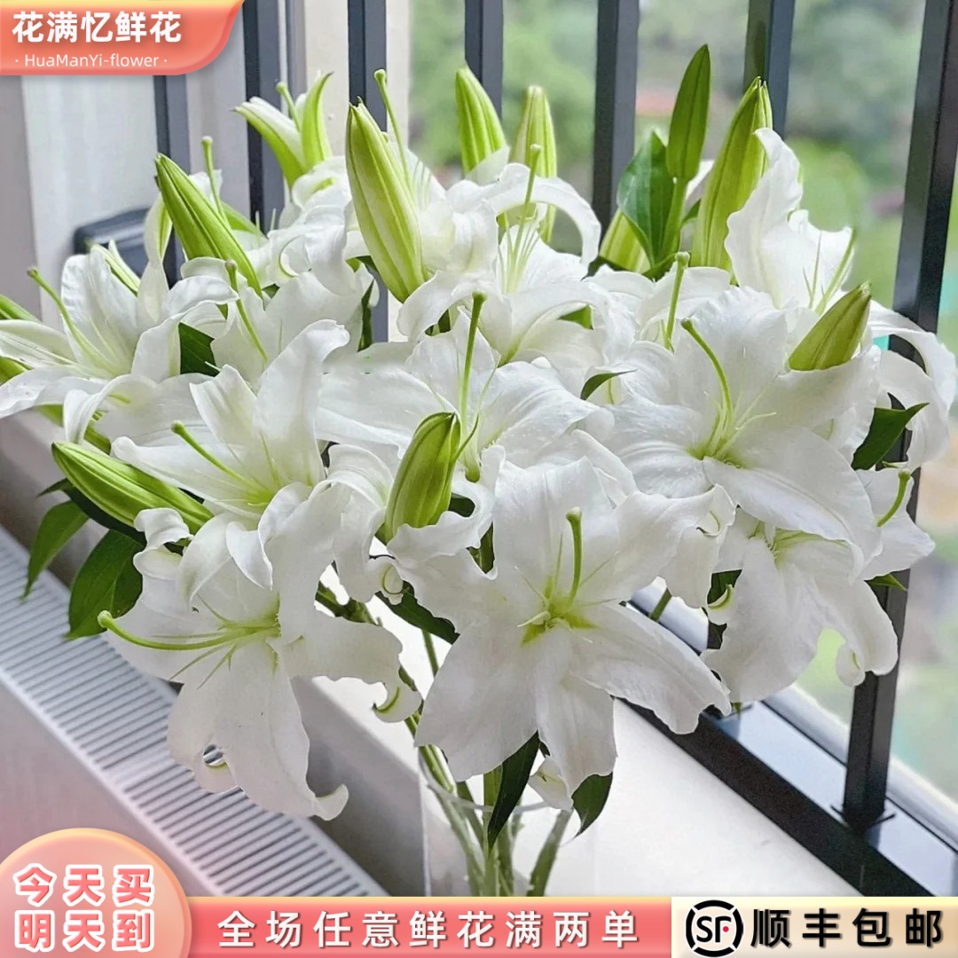 次日达 -【香水白百合】6-8朵百合鲜花鲜切花家居优选批发任意满两单顺丰包邮三单送花瓶今天拍明天到