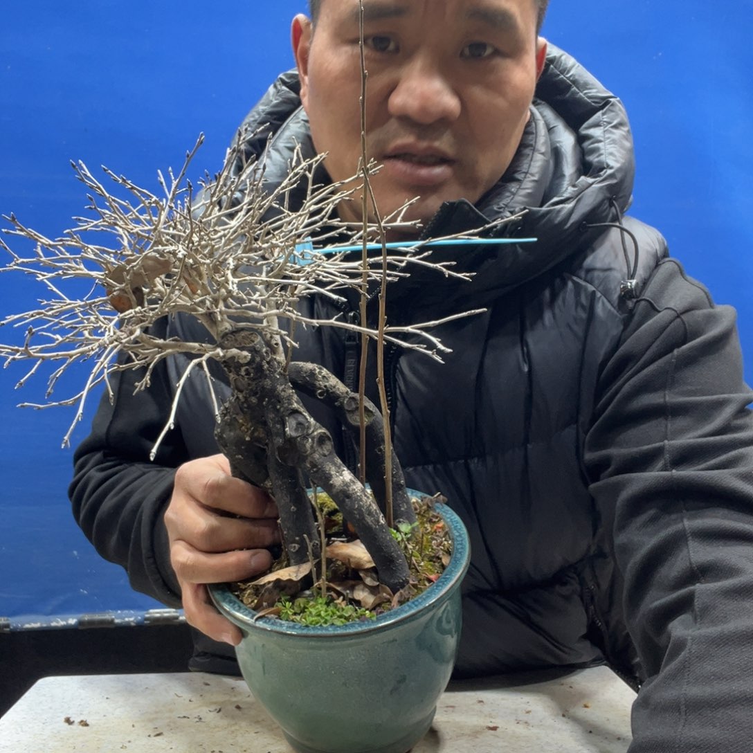 无花朵8888888888888