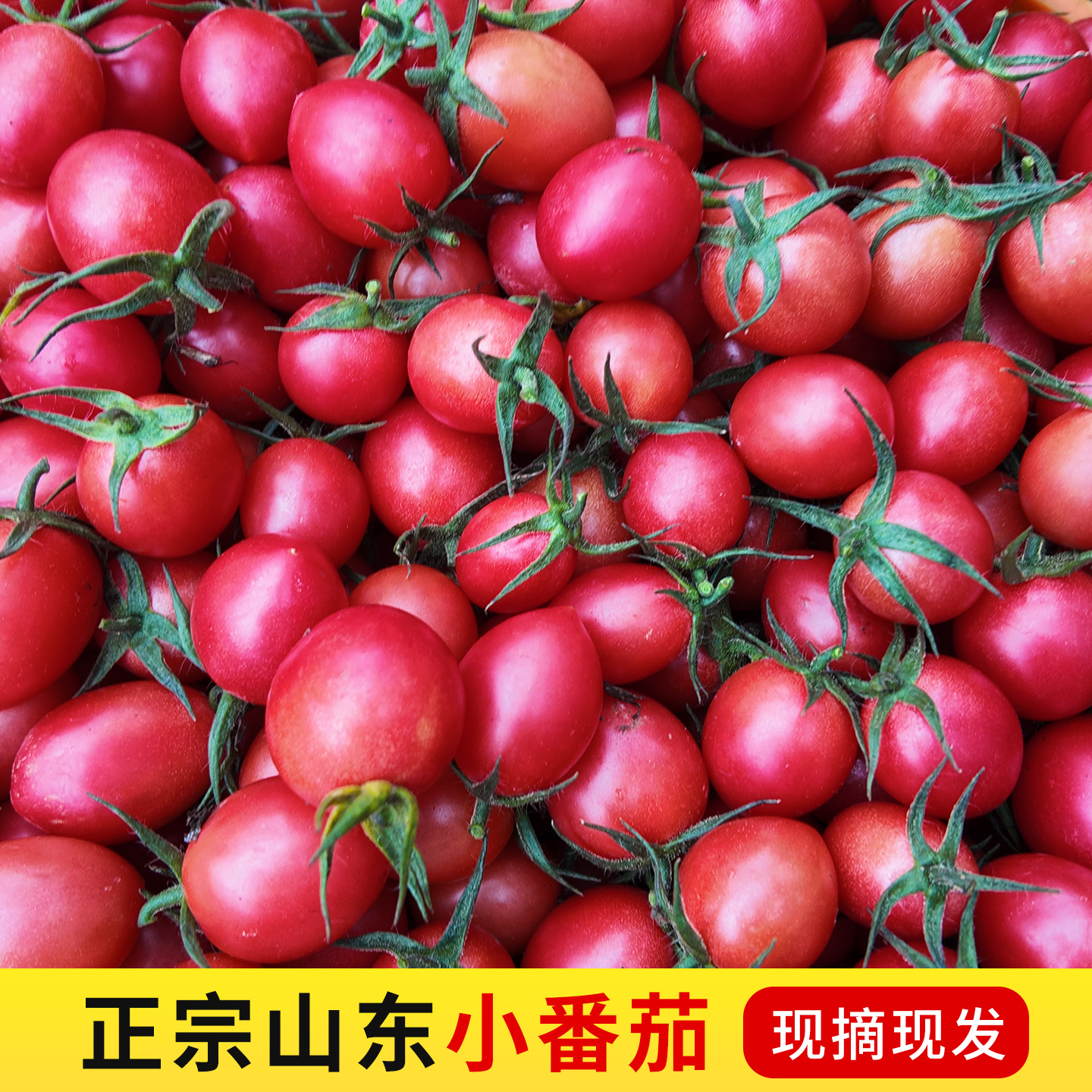山东莘县千禧果小番茄新鲜水果好吃樱桃千禧圣女果小西红柿