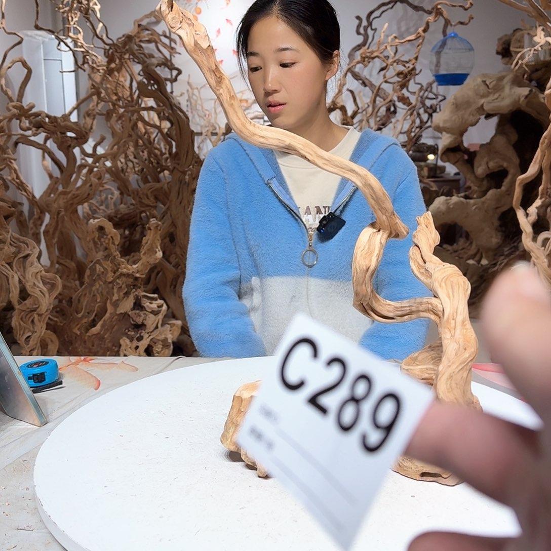 风车木（黑檀木）开****?