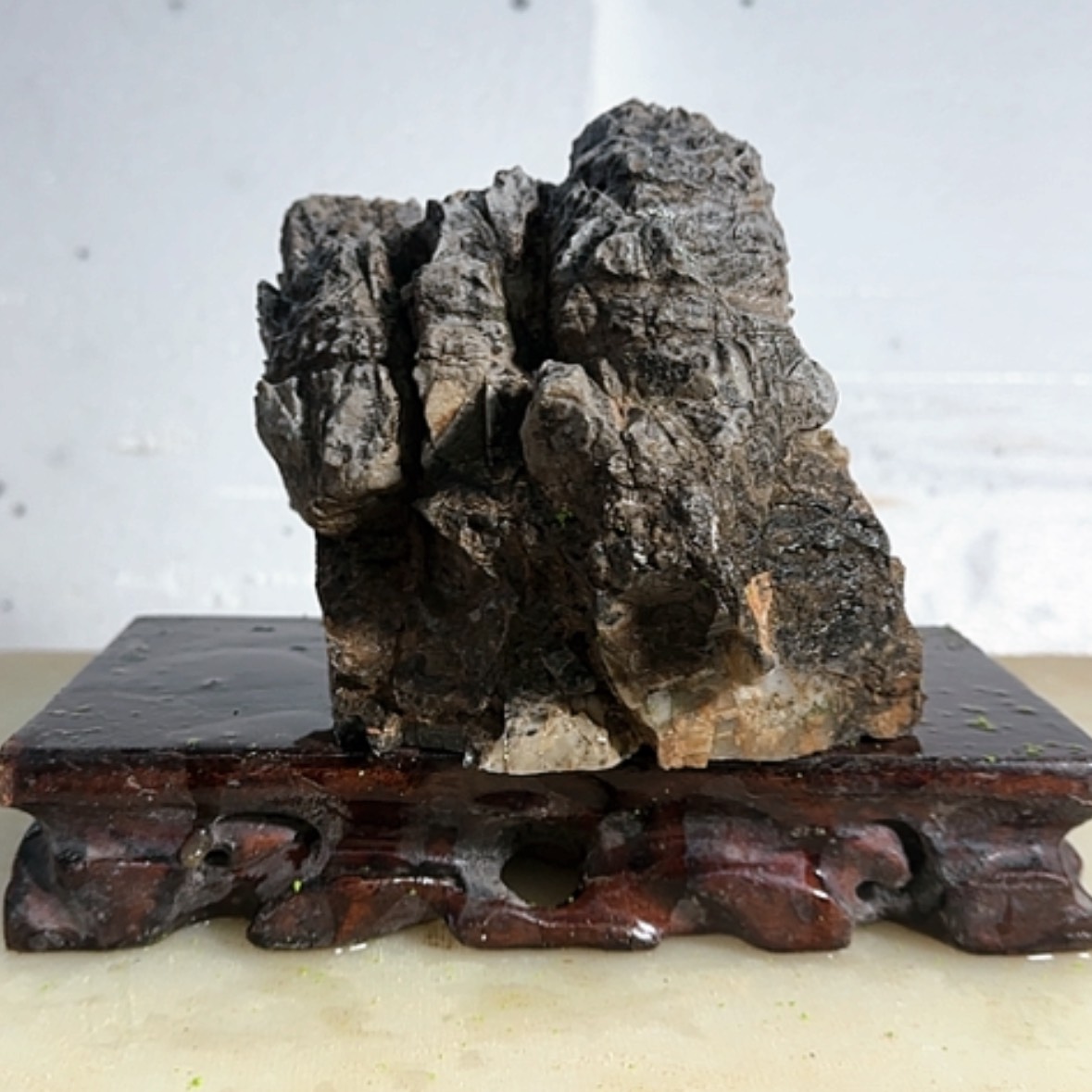 【闪购商品】香榧木日**｀我们的生活方式是什么