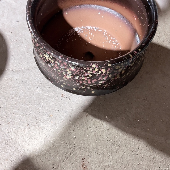 红陶口径25高度18一只正品