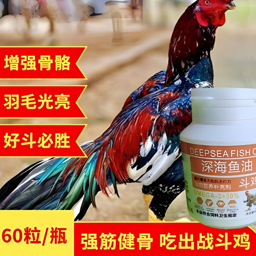 宠物斗鸡用品深海鱼油补充能量增强爆发力