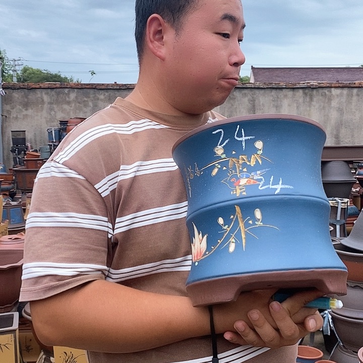 紫砂花盆盆栽观赏