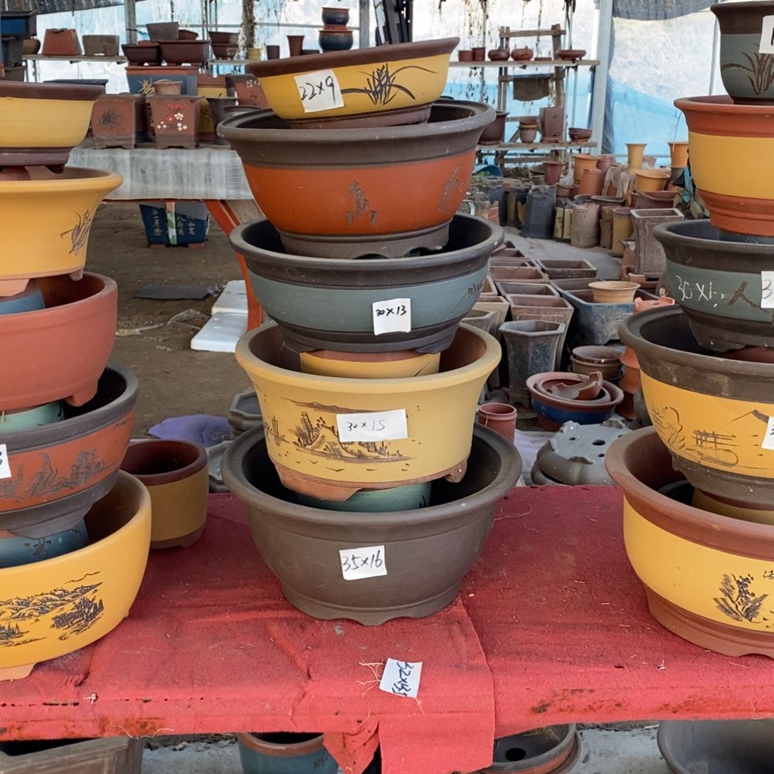 第二组，五只圆盆