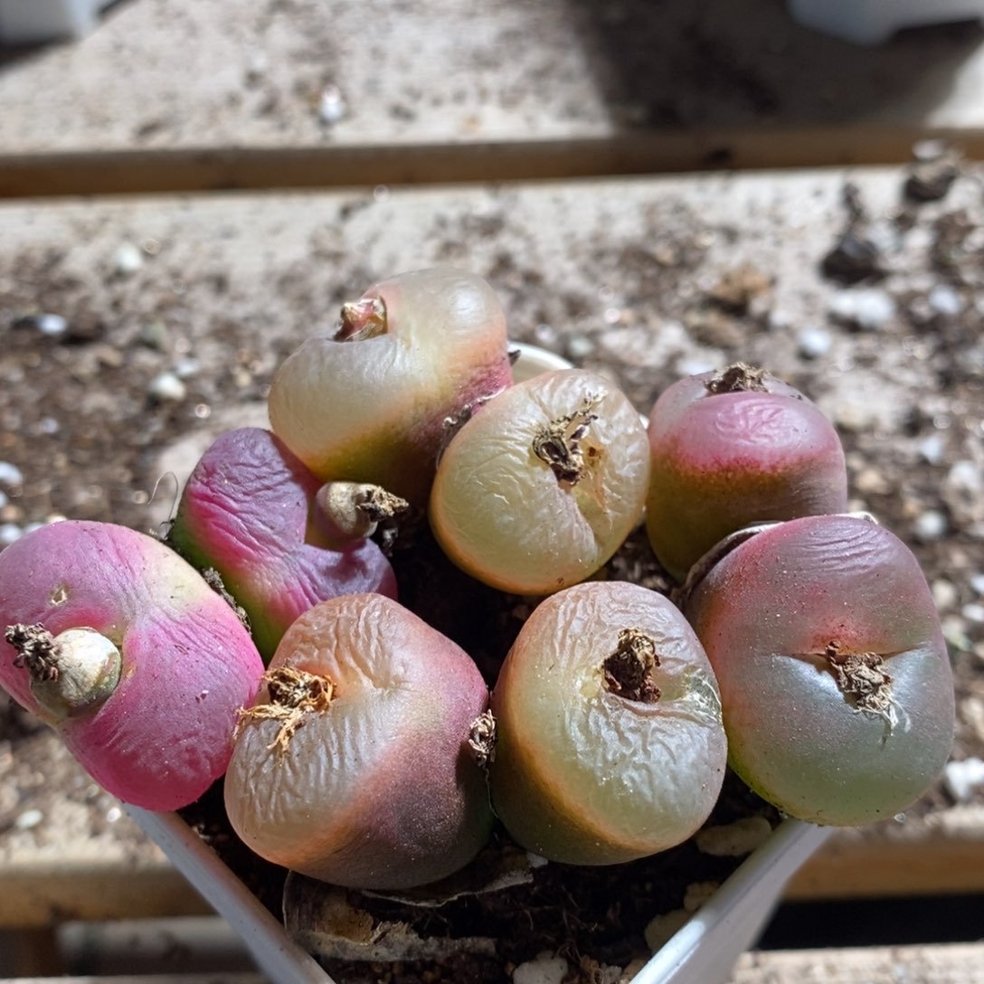 9156一组一组一组