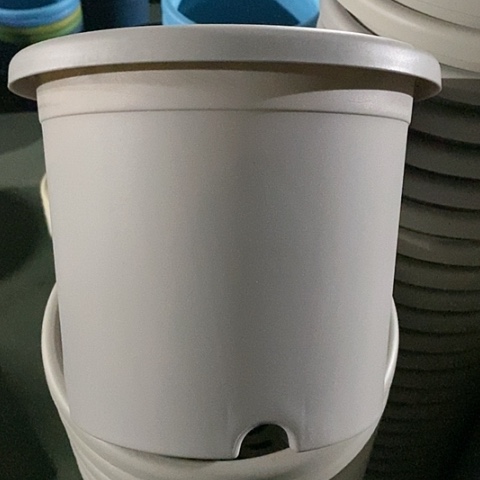 树脂微瑕3#带托灰白10套