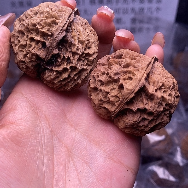 核桃云南野生铁核桃43号45mm