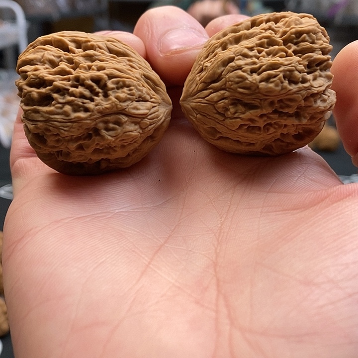 大叶紫檀（黑酸枝木类）天残脚