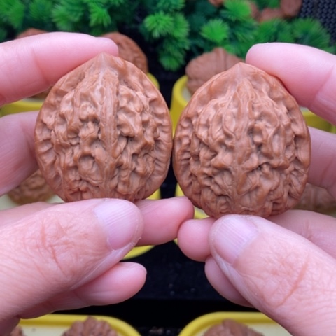 吊坠文玩核桃红锦鲤43.6全品