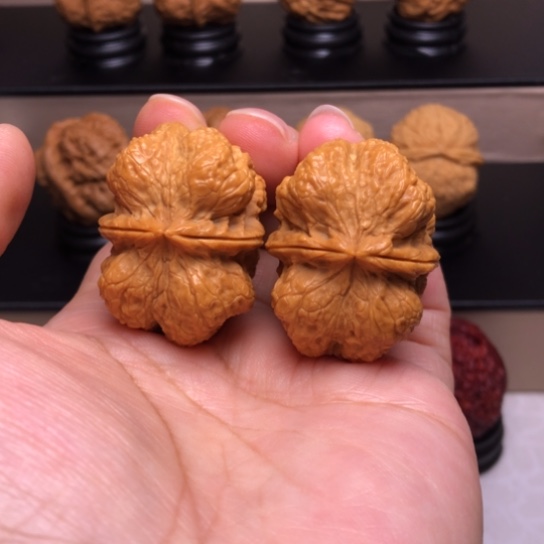 文玩核桃把件霸王龙脊33