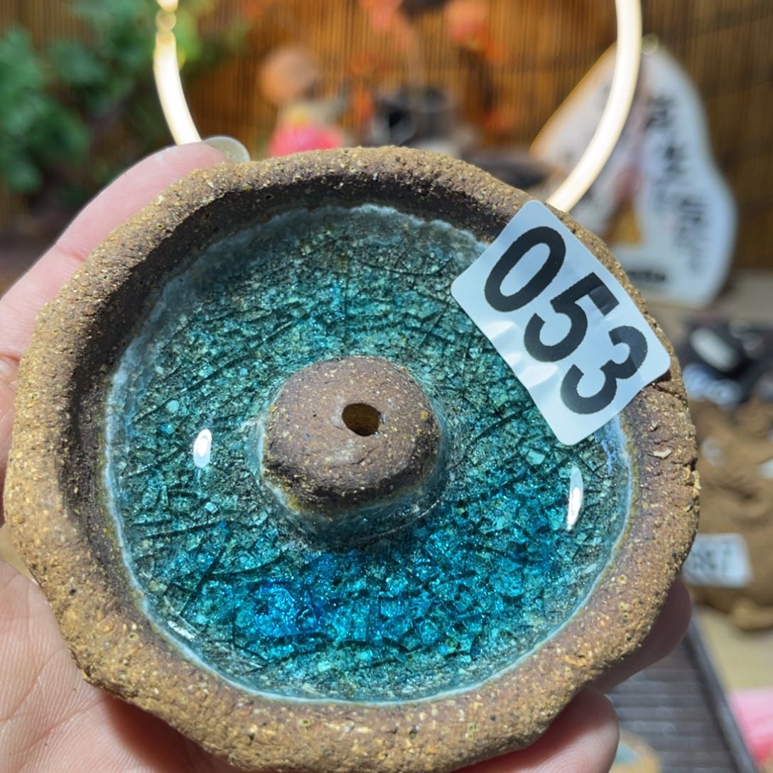 木村信弘柴烧保平