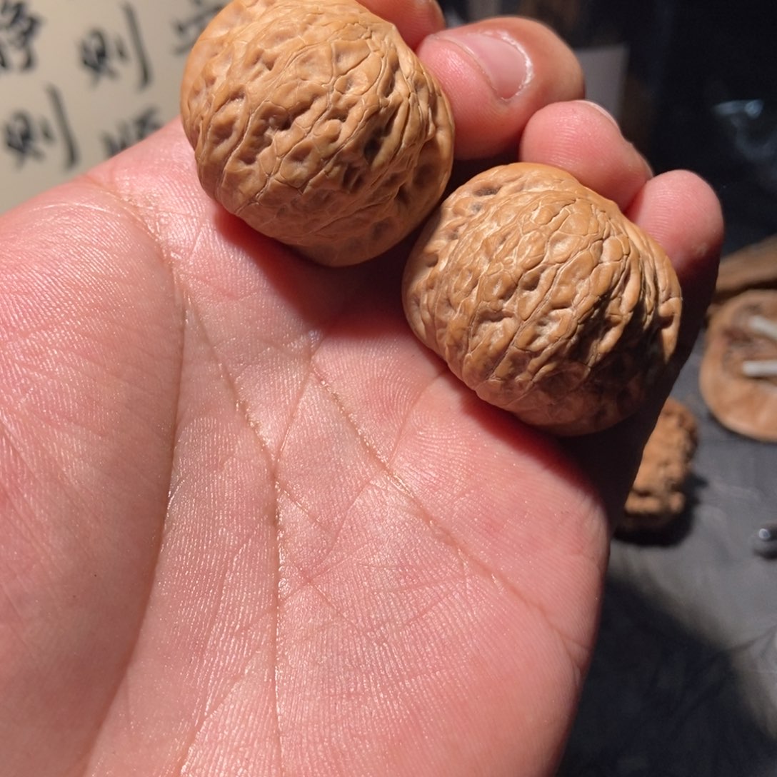 核桃其他精对铁锤34