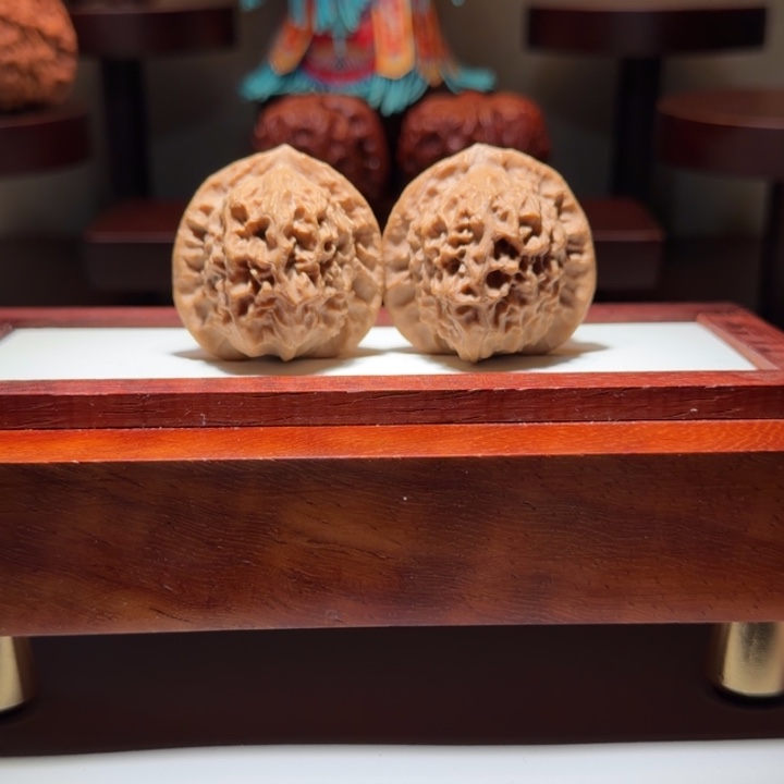 原生态山地瓷娃娃尺寸36