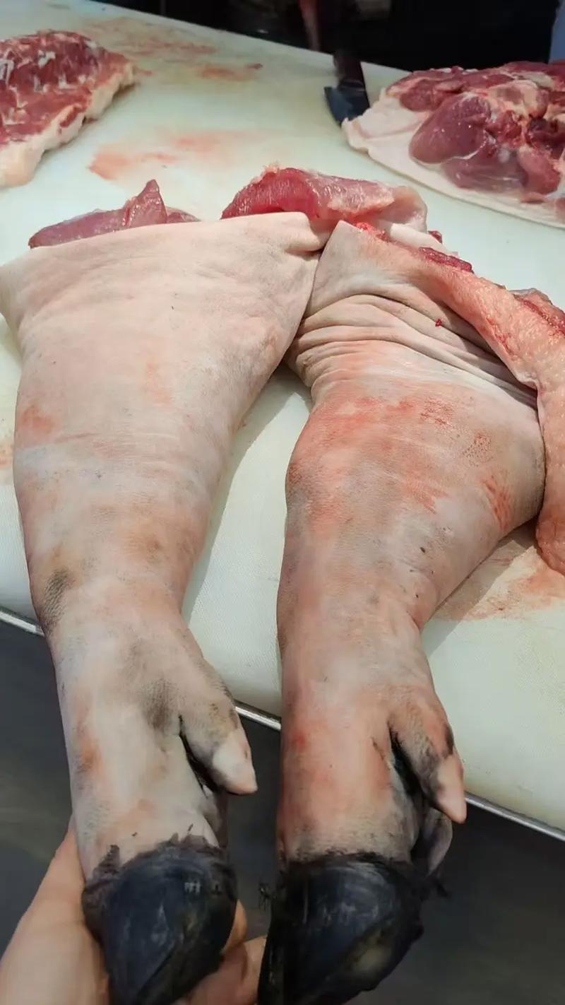【猪蹄】大别山黑毛土猪肉现场称重