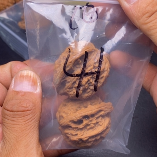 【闪购商品】把件文玩核桃打包
