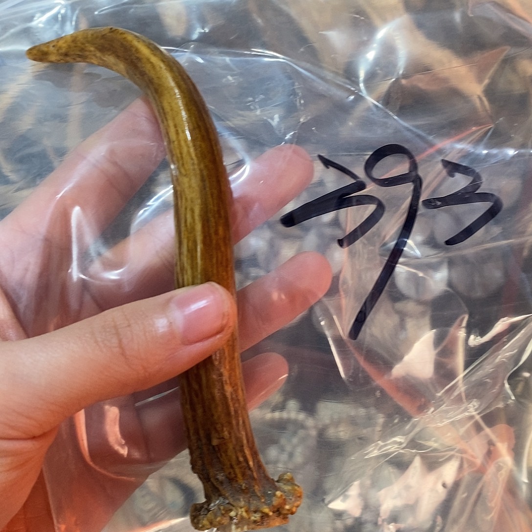 汽***官非金属鹿角鹿角鹿角