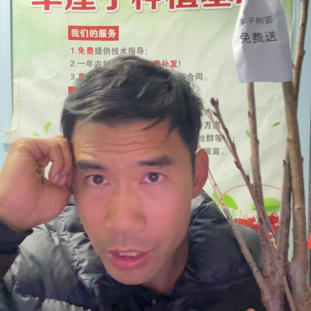 当前无花栽培后可以开花珊瑚香槟