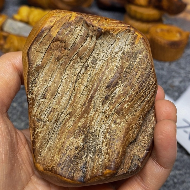 柏木（崖柏）崖柏124